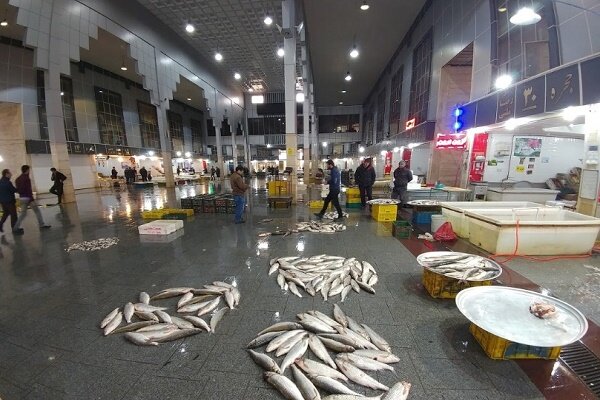 راه اندازی بازارهای الگویی فروش ماهی در گیلان